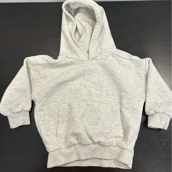 Zara Other - Zara Grey Hoodie Sweater